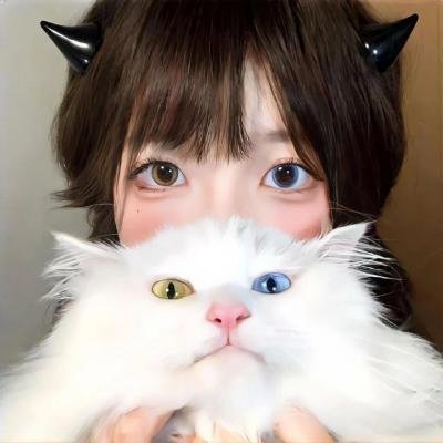 情报：锁定第二季